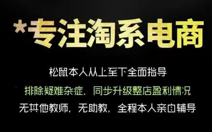 松鼠会电商VIP课程，从基础布局到高阶优化，助你掌握淘宝运营逻辑，提升店铺流量与转化(更新0809)-御文网