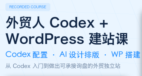 大卫·外贸人Codex + WordPress建站课(更新8月)-御文网