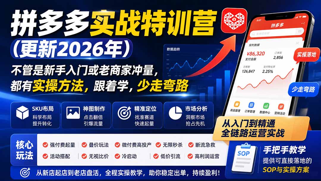 拼多多实战特训营(更新26年0831-御文网