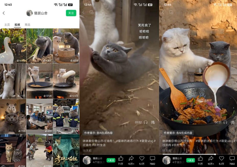 猫咪慢生活短视频教学，AI搞笑萌宠赛道，视频号分成+精选独家+伙伴计划+商单收徒等多种变现方式