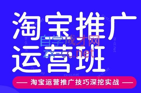 美迪电商·淘宝高级运营班+推广运营班(更新9月)-御文网