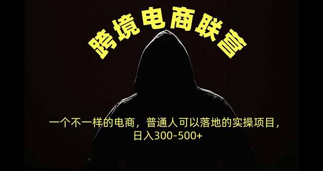 跨境电商联营，一个不一样的电商，普通人可操作日入300-500+-御文网