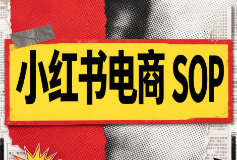 书豪必胜小红书电商sop(更新9月)-御文网