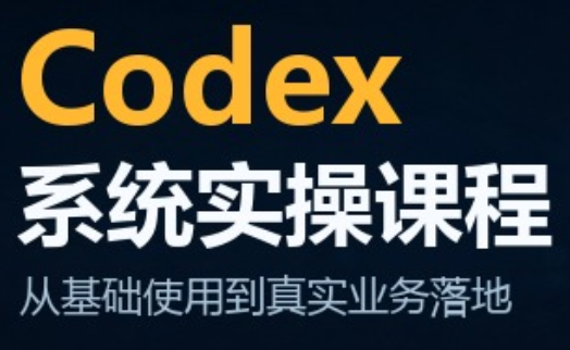 codex系统实操课程(更新10月)-御文网